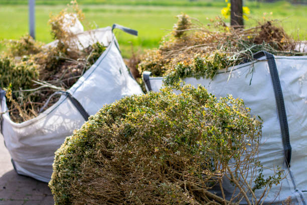 Best Affordable Junk Removal Services  in Rossville, MD