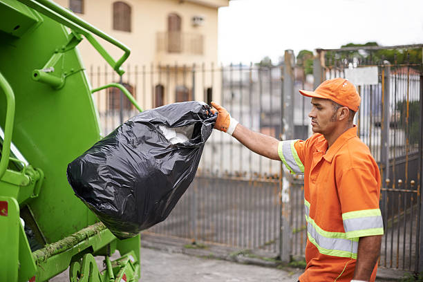 Yard Cleanup Services in Rossville, MD